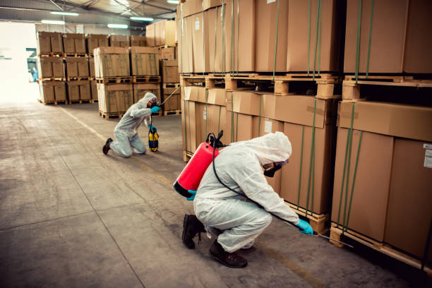 Best Emergency Pest Control  in Granger, IN