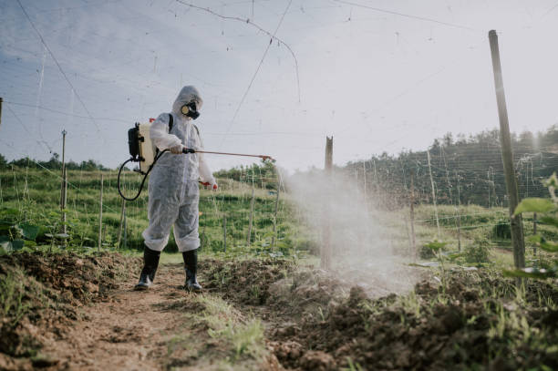 Best Local Pest Control Services  in Granger, IN