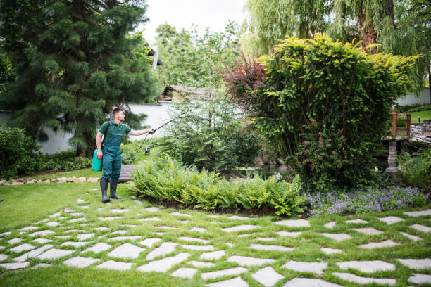 Best Residential Pest Control  in Granger, IN