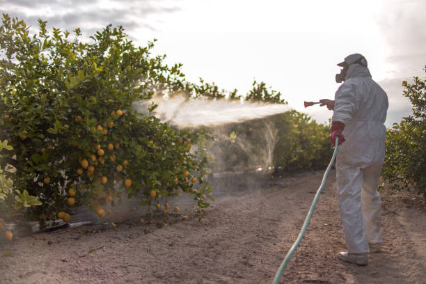 Best Termite Control Services  in Granger, IN