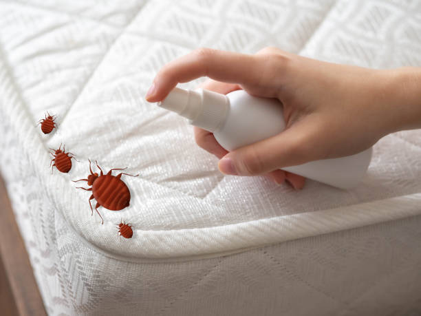 Best Commercial Pest Control Services  in Granger, IN